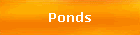 Ponds